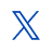 X Icon