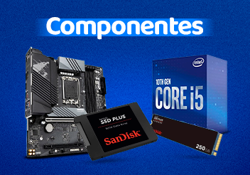 Componentes - Dia da Informática