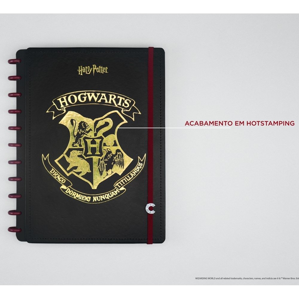 A imagem pode conter: texto  Corvinal, Hogwarts, Fatos de harry potter