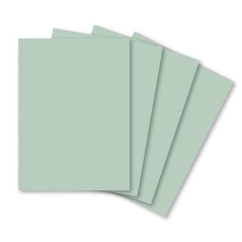 Cartolina Escolar Jandaia 50cm x 66cm 140g/m² 100 Folhas Verde