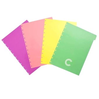 Divisória Pastel Para Caderno Inteligente Grande com 4 Unidades